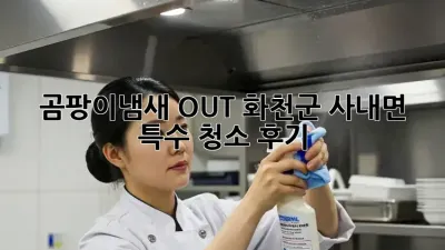 곰팡이&냄새 OUT! 화천군 사내면 특수 청소 후기✨