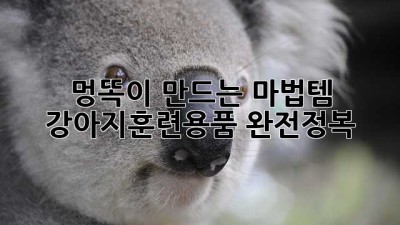 멍똑이🐶 만드는 마법템! #강아지훈련용품 완전정복✨