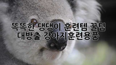 똑똑한 댕댕이 훈련템🐾: 꿀팁 대방출! #강아지훈련용품